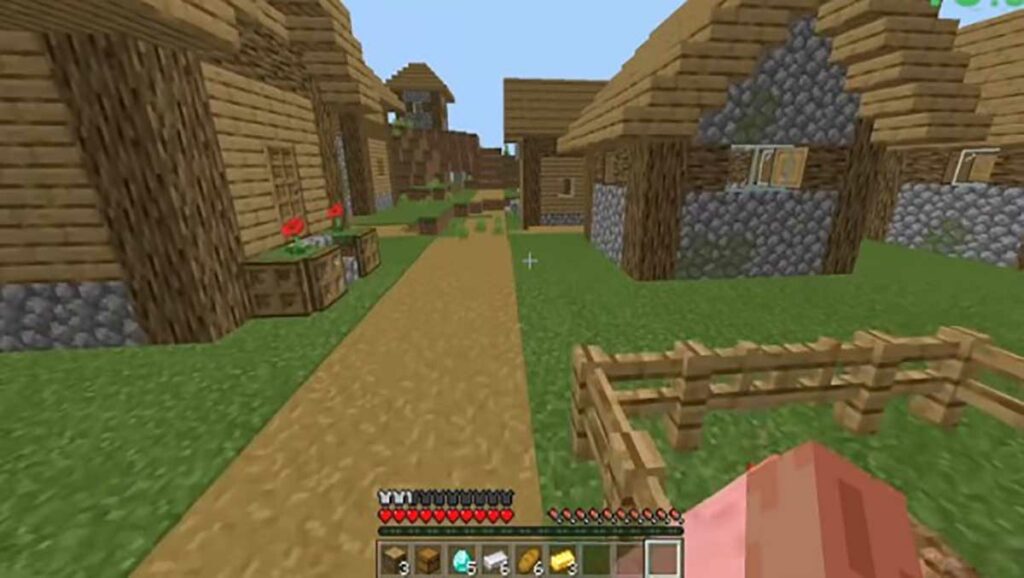 A village in Minecraft.
