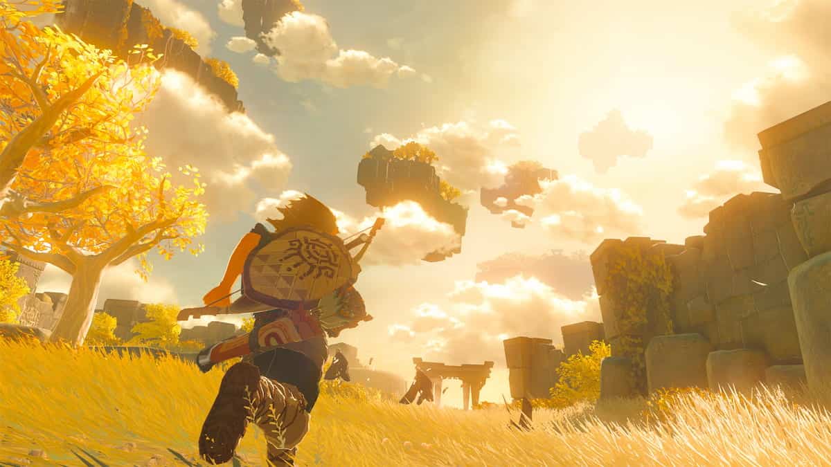 link running with shield and weapon