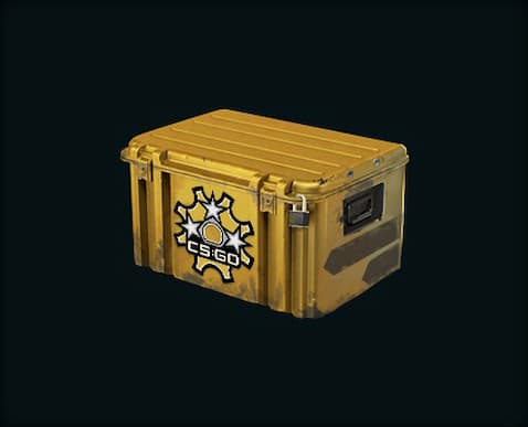 Image of a Revolver Case in CS2