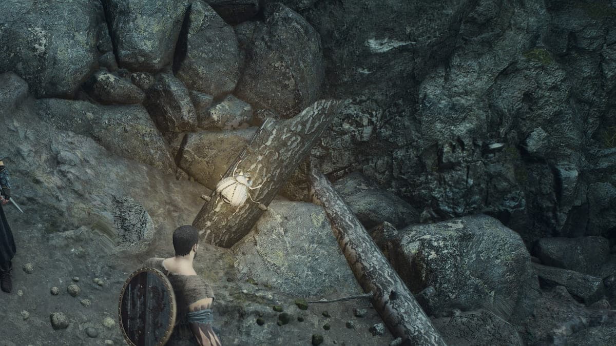 Dragon's Dogma 2 screenshot of a Golden Trove Beetle in the wild