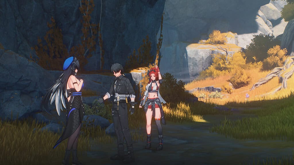 Wuthering Waves characters interacting.