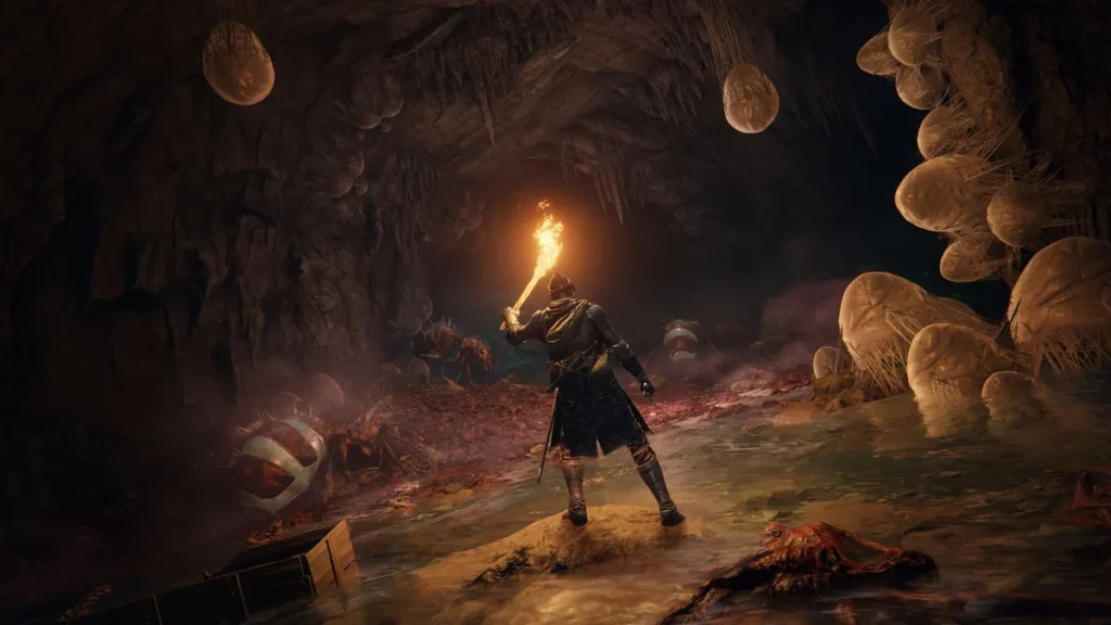 Elden Ring character holding a torch in a cluttered cave