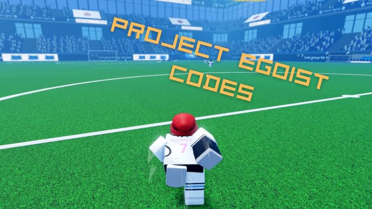 Project egoist codes may 2025 n4g