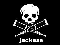 Jackass The Game to Bring Pain and Stupidity on Nintendo DS