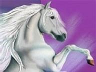 Microsoft Casual Game Guru Rides Ponies: Bella Sara Online