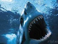 Crysis Shark Attack (Video)