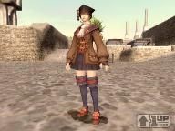 FFXI Team Responds to Hacking Problems