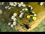 WiiWare: Butterfly Garden Interview