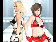 Rumble Roses XX demo out now