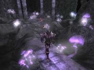 Gaming Console Network reviews Avencast: Rise of the Mage