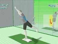 Wii Fit Fact Sheet and Price Point