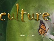 GDC ’08: GameSpot’s Culture hands-on plus screens