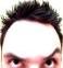 BeardedGamerShow