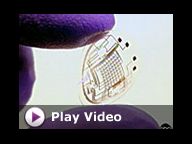 Contacts Go Bionic