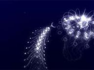 flOw screenshots