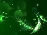 Pocket Gamer: flOw Review