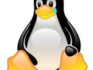 Wal-Mart shoves Linux PCs off store shelves, not web site