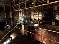 Game Positive – Penumbra: Black Plague Review