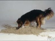 Digging for Truth in the PSN Leak Story
