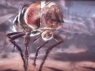 id Software’s Kevin Cloud Talks Quake Wars, id Tech 5
