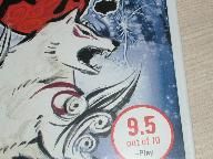 Capcom steals own artwork from IGN for Okami box