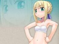 Fate Tiger: Saber in bikini
