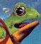 leapfrogger