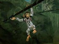 Space Chimps, the mandatory videogame