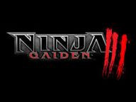 Ninja Gaiden 3 Still Possible