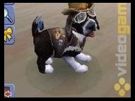More The Sims Pets for Nintendo DS