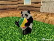 National Geographic Panda ambles towards DS