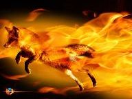 Mozilla Announces Release Date for Firefox 3 — June 17th