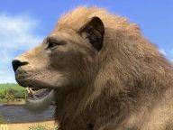 More Afrika Details