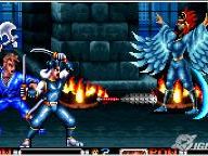 IGN: Ninja Combat Review
