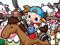 Harvest Moon: Magical Melody – 7/10 – "unfriendly interface"