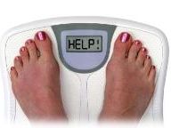 My Weight Loss Coach – DS – Review