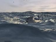 GameZone: Deadliest Catch Alaskan Storm Review