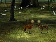 Games That Break Rules 1: The Endless Forest