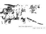 Rumor Squashed: 1019.net EvE Fansite, Not Halo Viral Site