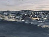 CheatCC Review: Deadliest Catch: Alaskan Storm