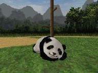 IGN: National Geographic Panda Hands-on