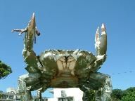 Giant Enemy Crab – The legend lives on…