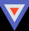 VGNetwork