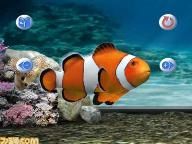 My Aquarium Video