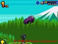Monsters Racer Info and Images