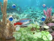 On the PAL Wii Shop today: My Aquarium and Strong Bad Episode 1