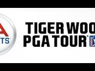 Tiger Woods PGA Tour 2009 Competition