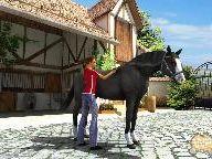 Worthplaying: Tim Stockdale’s Riding Star Announced – Screens