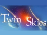 GameVortex PAX: Twin Skies, Three Medias