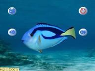My Aquarium probably won’t be yours today on WiiWare